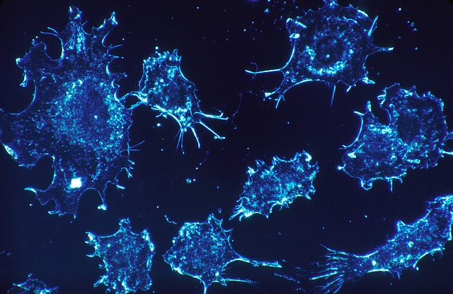 BMS and Vedanta announce a new clinical collaboration to evaluate OPDIVO (nivolumab) and VE800