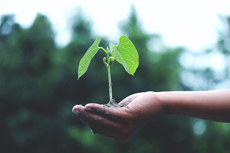 Bormioli Pharma accelerates on sustainability: 50% of products will have a low environmental impact by 2025