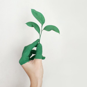 Bormioli Pharma launches EcoPositive packaging at Pharmapack 