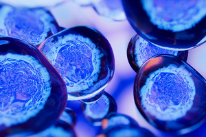 Bracco, Limula and the University of Fribourg partner to advance next-gen cell and gene therapy manufacturing in Switzerland
