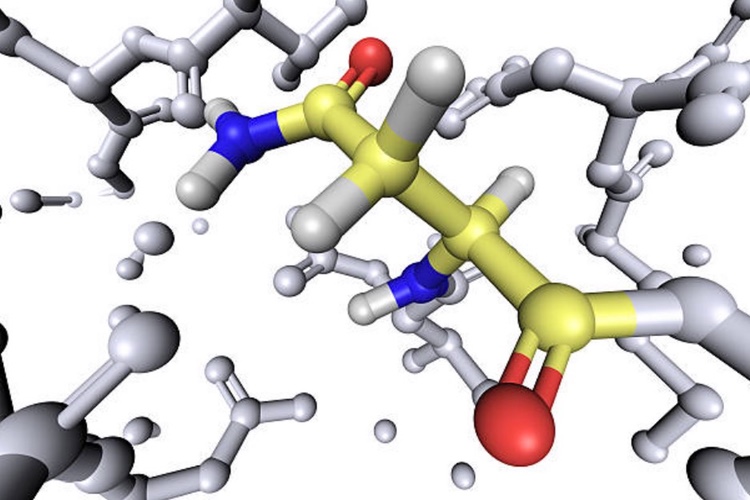 Breakthrough for peptide medication