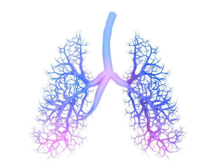 Breakthrough research breathes hope into a new treatment for asthma