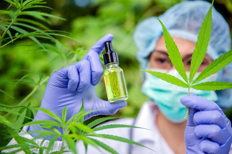 Broughton launches ISO/IEC 17025-accredited methods for accurate cannabinoid analysis in oils and tinctures