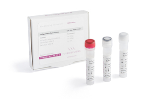 Bst Polymerase reagents for accelerated DNA amplification
