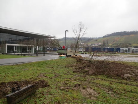 Burkert begins preparations for new construction