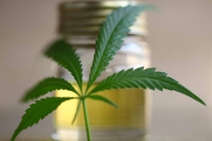 C2 Pharma and Anklam Extrakt develop cannabidiol-based compounds