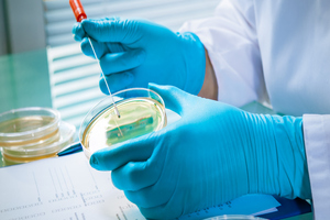 Catalent expands clinical supply capabilities in Shanghai