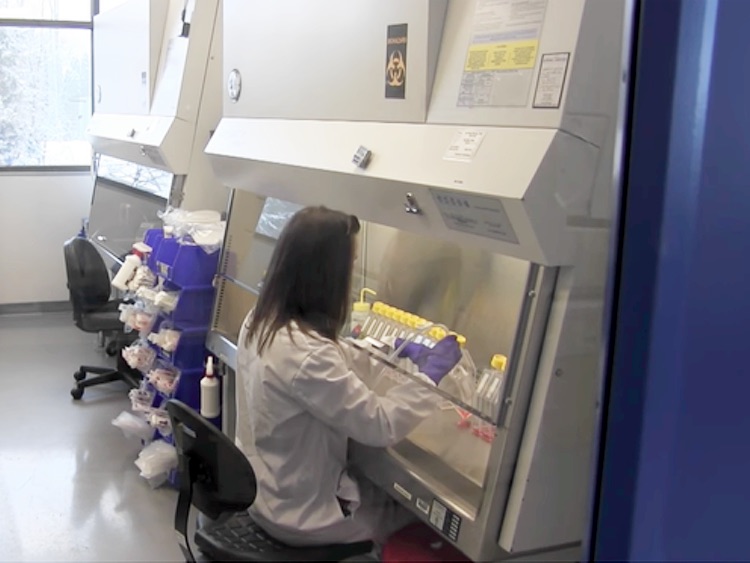 Catalent latest technology improves titers and cell-specific productivity