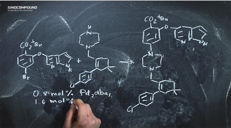 Catalyst expert Sinocompound launches educational video series 