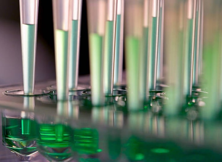 Catapult and LifeArc tackle biomarkers for drug discovery