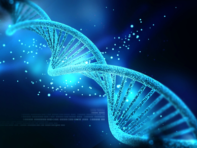 CatSci wins Welsh government SMART Capital Equipment Grant for oligonucleotide development