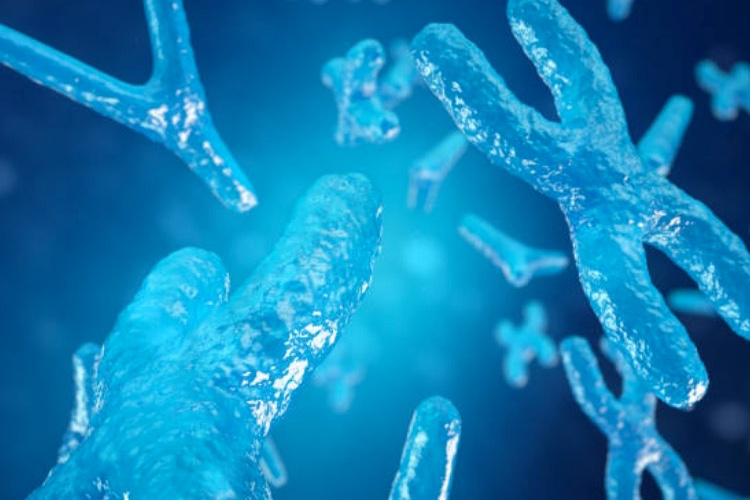 Celgene set to become leader in CAR-T space