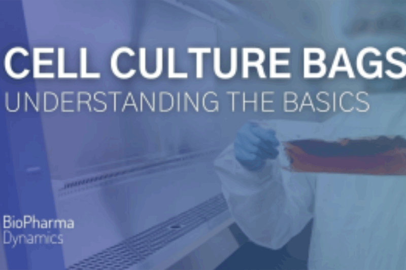 Cell culture bags - Understanding the basics