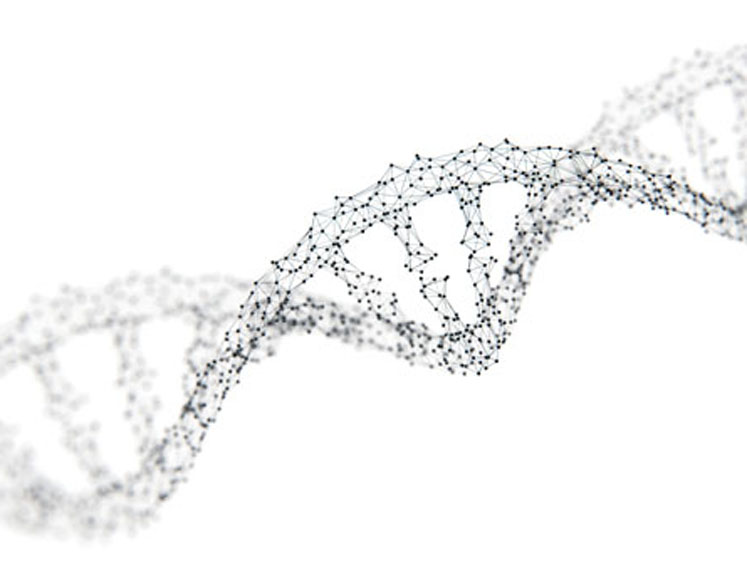 Cell therapy engages stealth mode to target solid tumours