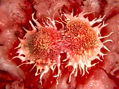 CellBxHealth signs new statement of work with US-based pharmaceutical company