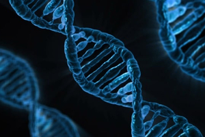 Cellevate launches Cellevat3d nanofibre microcarrier in the US