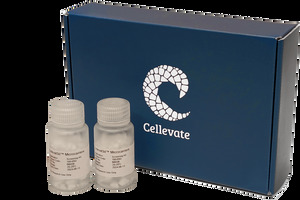 Cellevate to prelaunch nanofibre microcarriers to boost viral vector production in gene therapy