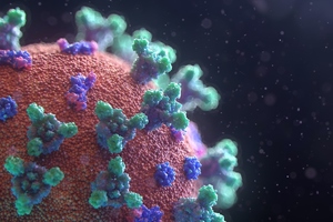 CEPI and Intravacc to develop Betacoronavirus vaccine