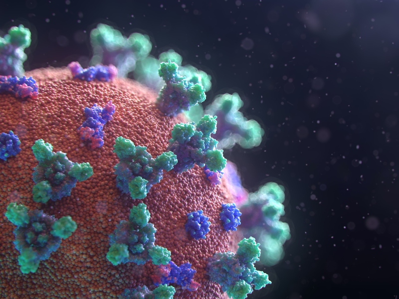 CEPI and Intravacc to develop Betacoronavirus vaccine