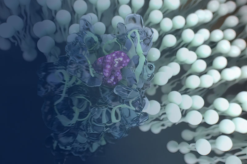 Certa Therapeutics expands GPR68 platform with OccuRx acquisition