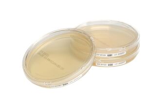 Cherwell launches locking lid media plate compatible with lab automation systems