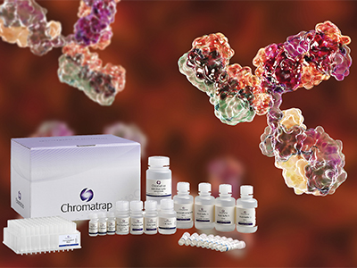 ChIP kits for high throughput antibody validation
