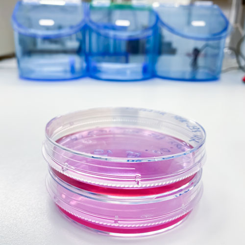 CHITOSE and FUJIFILM Biosciences form strategic alliance to drive global innovation and biopharmaceutical manufacturing