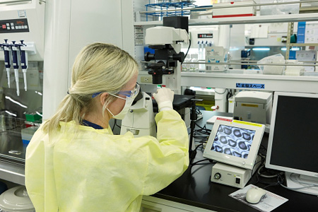 CiRA and Takeda collaborate on induced pluripotent stem cell research
