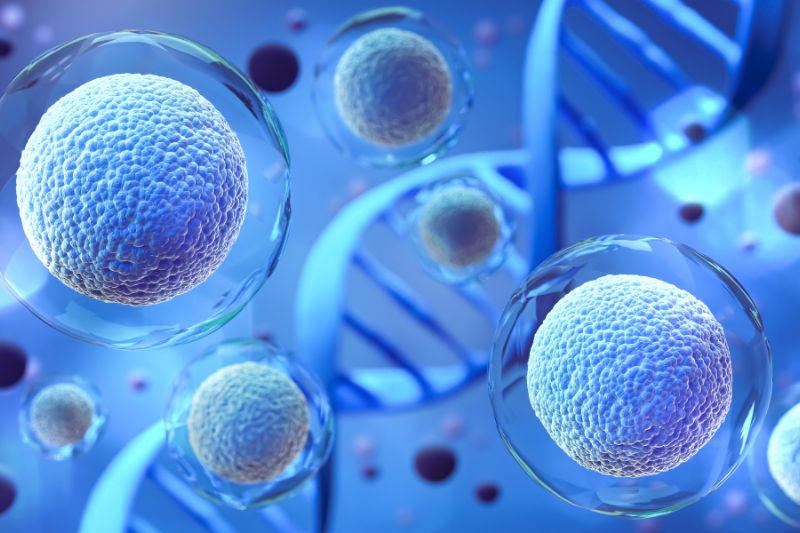 Clean Cells acquires Stem Genomics to expand cell therapy QC