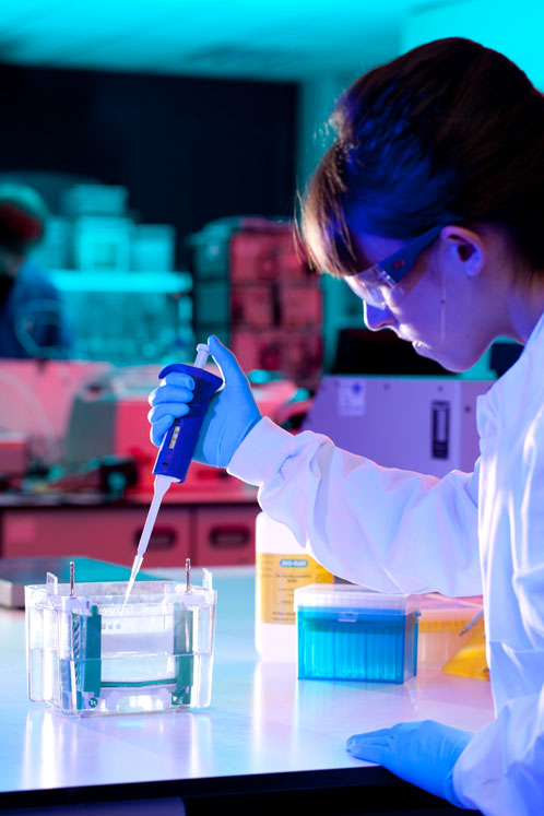 CMC strategies for the acceleration of commercial-ready ADC manufacturing
