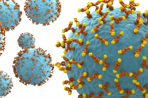Collaboration to identify antibodies for cancer targets