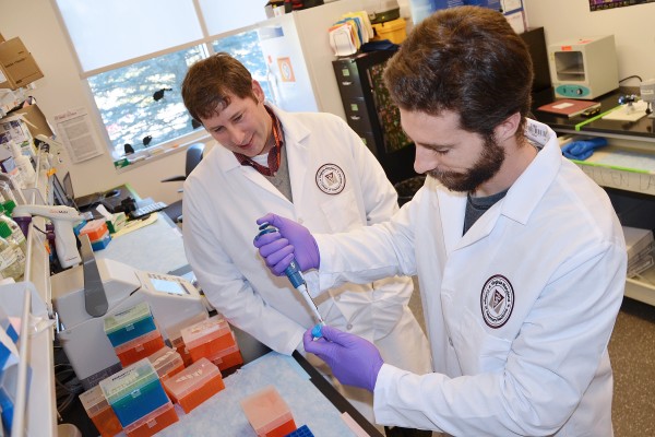 Colon cancer could be prevented by changing the shape of a single protein