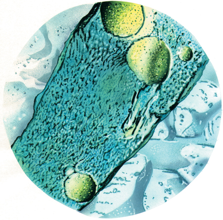 COMBACTE-MAGNET project aims to stimulate antibiotic development in Europe