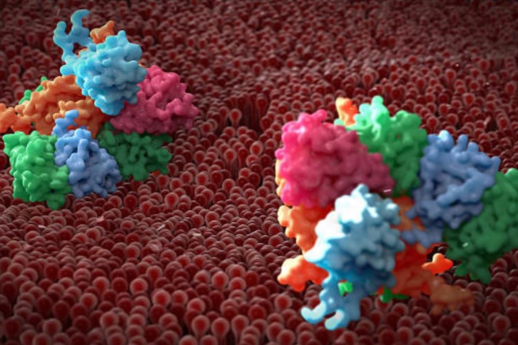 Conagen acquires fermentation-based glycoproteins production tech