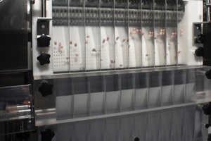 Contract packer adds sixth bottling line 
