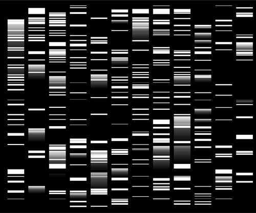 Countable Labs and Promega to facilitate end-to end biological sample preparation and rare variant detection
