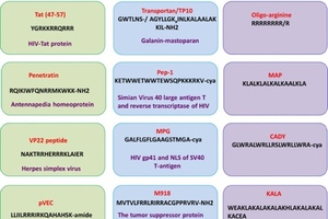 CPPs: beating drug delivery barriers 