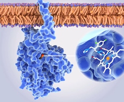Creative Enzymes launches granules for bioprocessing efficiency