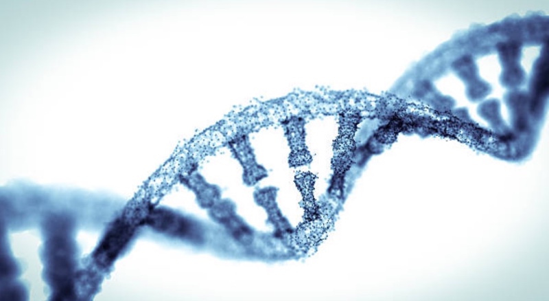 Crown Bioscience enhances CAR-T cell therapy with bioluminescent imaging