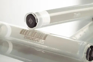 Cryogenic storage of biological specimens