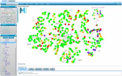 Data visualisation application speeds lead discovery