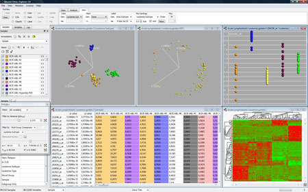 Data visualisation with the image makers