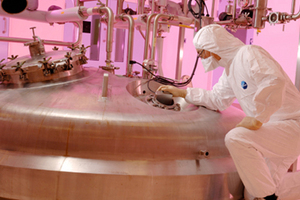 Denca is under control at SAFC plant in Scotland