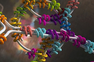 Designer proteins fold DNA
