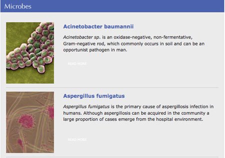 Detailed microbe database now online