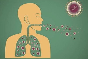 Development of new respiratory syncytial virus vaccine