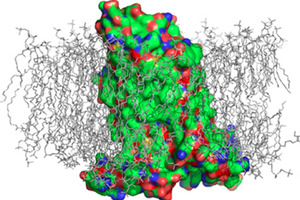 Domainex wins grant to develop GPCR drug discovery technology
