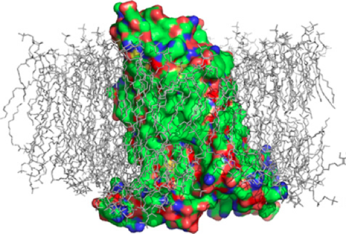 Domainex wins grant to develop GPCR drug discovery technology
