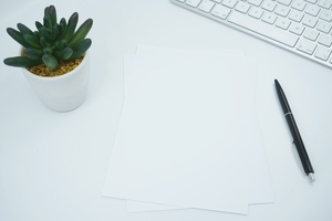 dsm-firmenich initiates patent infringement action