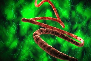 Ebola outbreak poses major drug research and development challenges